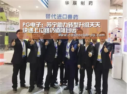 PG电子:苏宁助力转型升级天天快递上位路仍道阻且远(图2) PG电子