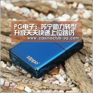 PG电子:苏宁助力转型升级天天快递上位路仍道阻且远(图1) PG赛事