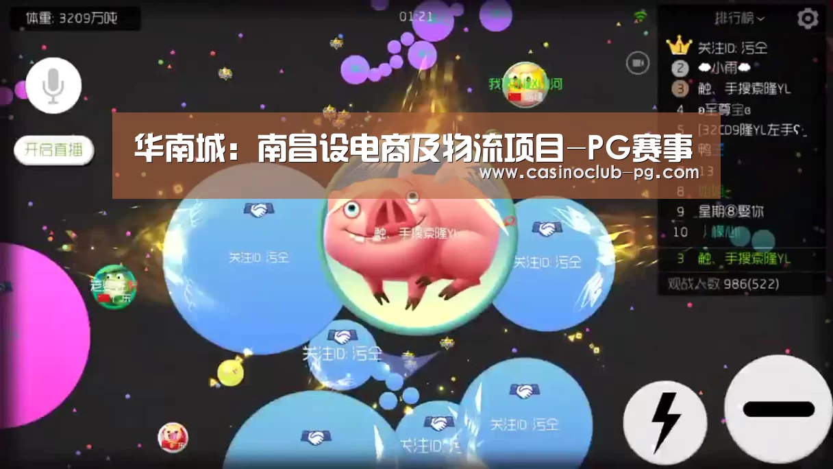 华南城:南昌设电商及物流项目-PG赛事(图4) PG棋牌