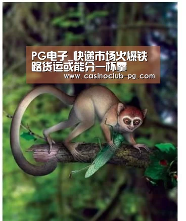 PG赛事