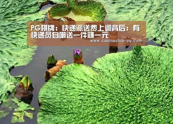 PG棋牌:快递派送费上调背后:有快递员自嘲送一件赚一元(图1) PG赛事