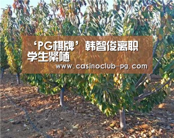 ‘PG棋牌’韩智俊离职 学生紧随(图2) PG入口