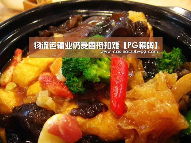 物流运输业仍受困抵扣难【PG棋牌】(图1) PG赛事