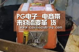 PG电子-电商带来物流变革 货运企业能否华丽转身?(图1) PG赛事
