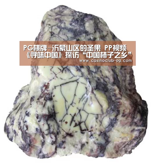 PG棋牌-沂蒙山区的圣果 PP视频《寻味中国》探访“中国柿子之乡”--临朐(图2) PG电子