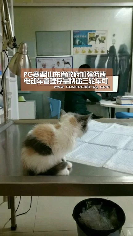 PG赛事|山东省政府加强低速电动车管理存量快递三轮车可过渡更换(图1) PG赛事